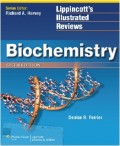 Biochemistry Sixth Edition