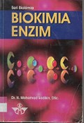 Biokimia Enzim