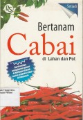 Bertanam Cabai di Lahan dan Pot